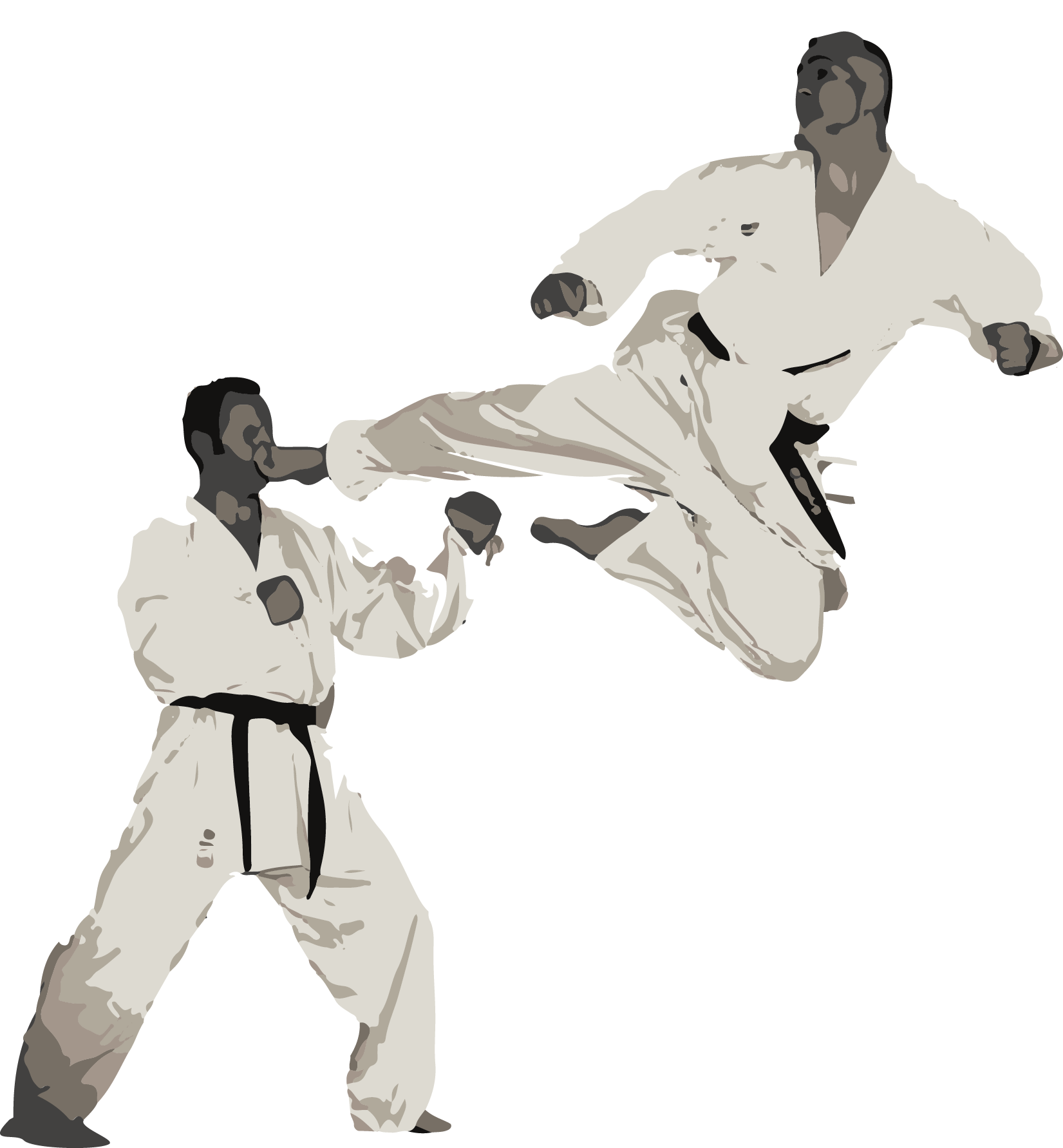 Shogun Memmingen Karate Dojo